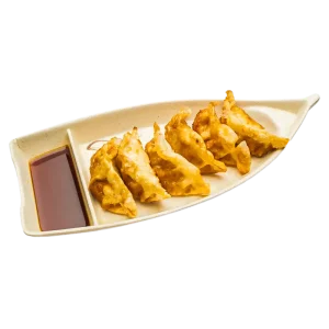 E8 - Gyoza au poulet (6 pièces)