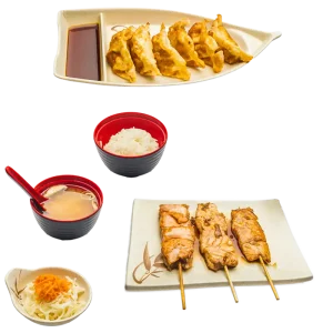 M41D - Soupe miso, salade, riz, 3 brochettes de saumon et 6 gyozas