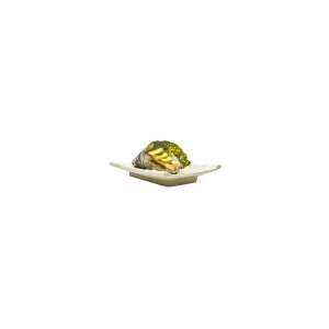 TE4 - Surimi avocat